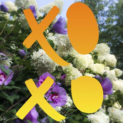 Framed XO Flowers Print