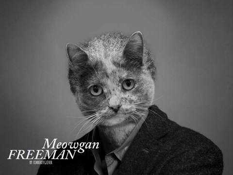 Framed Meowgan Freeman Print