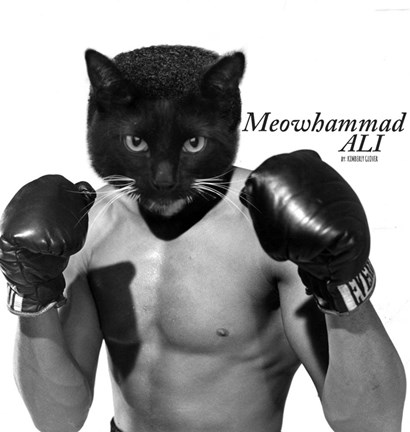 Framed Meowhammad Ali Print
