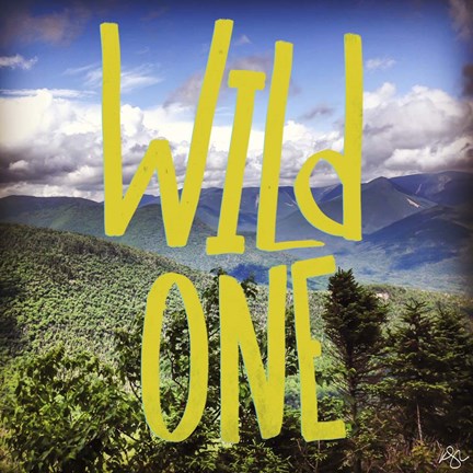 Framed Wild One Mountains Print