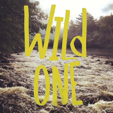 Framed Wild One River Print