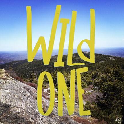 Framed Wild One View From The Top Print