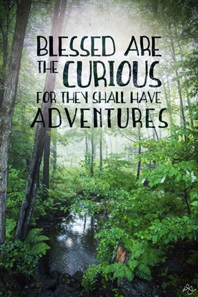 Framed Blessed are the Curious Print