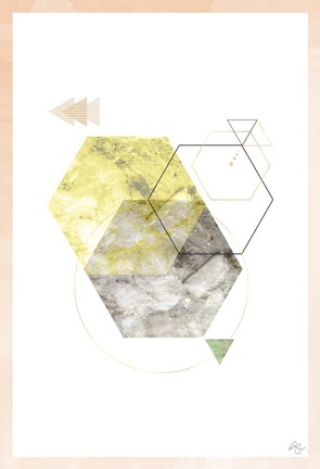 Framed Polys Gone Print