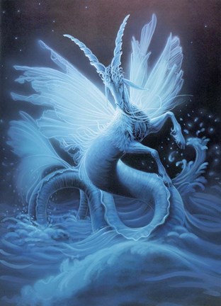 Framed Capricorn - Sketch Print