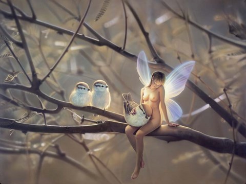 Framed Feathered Friends - N Print