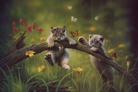 Framed Kittyland Print