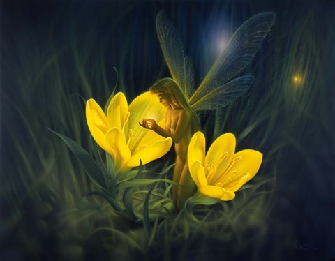 Framed Night Harvest - N Print