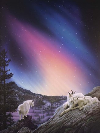 Framed Peaceful Night Print