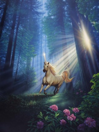 Framed Secret Forest Print