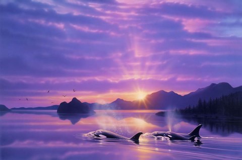 Framed Tranquility Bay Print