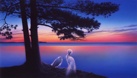 Framed Serenity Print