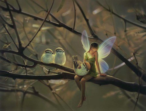 Framed Feathered Friends - C Print