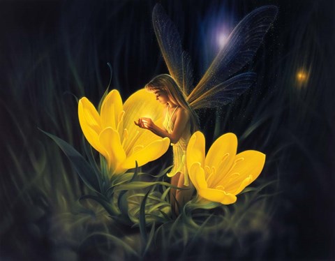 Framed Night Harvest - C Print