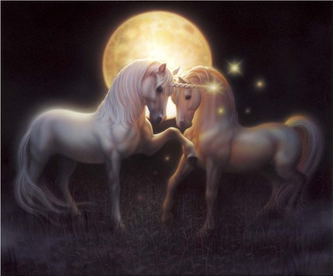 Framed Moondance Print