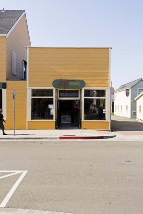 Framed Art Bronze Print