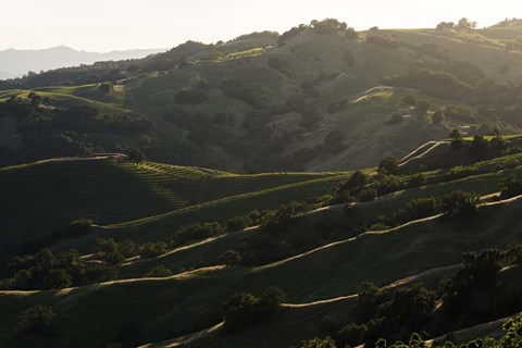 Framed Rim Light Print