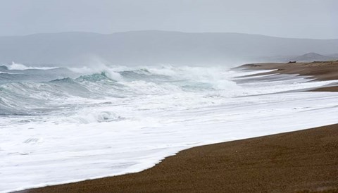 Framed Spring at the Beach Print