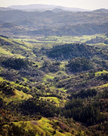 Framed Vista Point Print