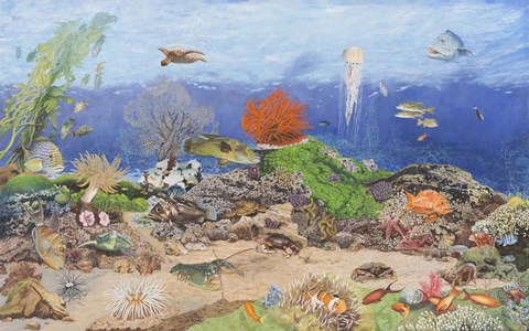 Framed Under the Sea Print