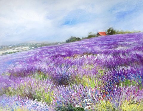 Framed Lavender I Print