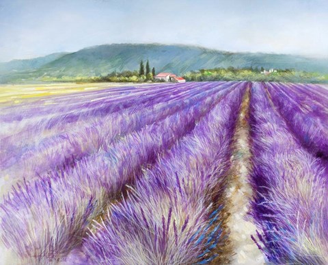 Framed Lavender III Print