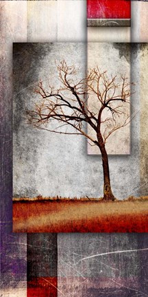 Framed Cottonwood Tree Part 4 Print