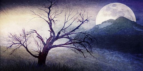 Framed Cottonwood Tree Part 11 Print