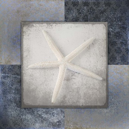 Framed Blue Star Fish 2 Print