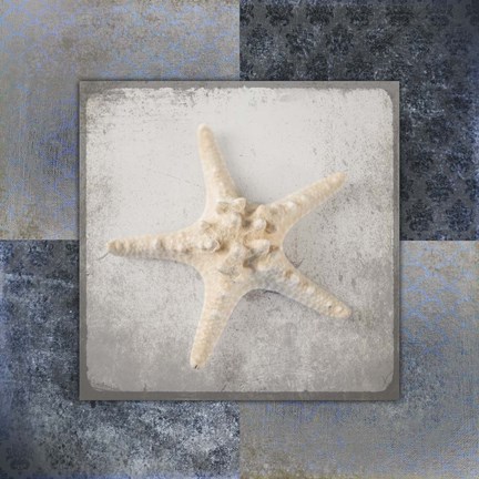 Framed Blue Star Fish 3 Print