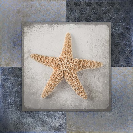 Framed Blue Star Fish Print