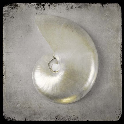 Framed Golden Sea 1 Print