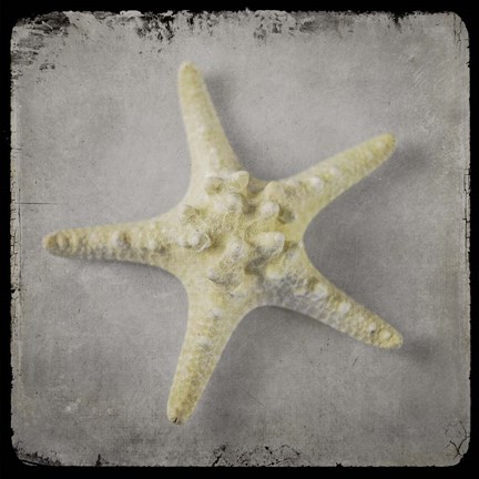 Framed Golden Sea 5 Print