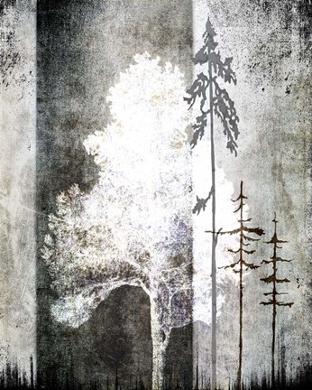 Framed July Tree 2 Print