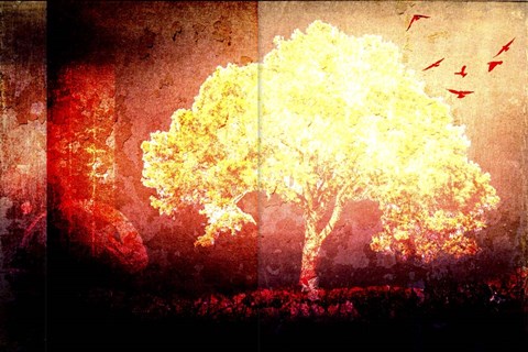 Framed July Tree 4 Print