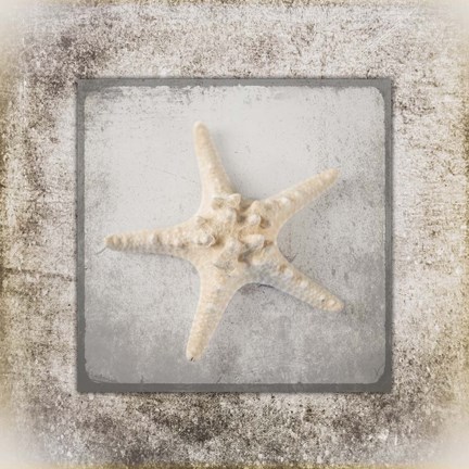 Framed Stone Star 2 Print