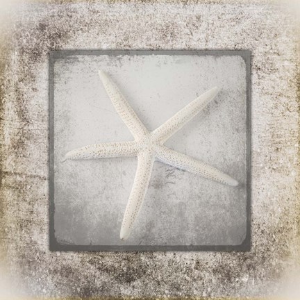 Framed Stone Star 3 Print