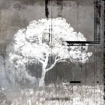 Framed July Tree 9 Print