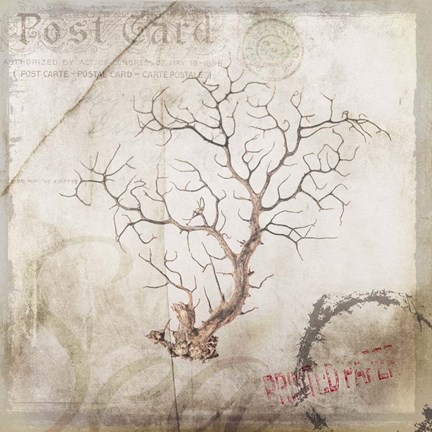 Framed Sea Leaf 2 Print