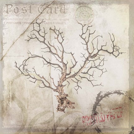 Framed Sea Leaf 3 Print