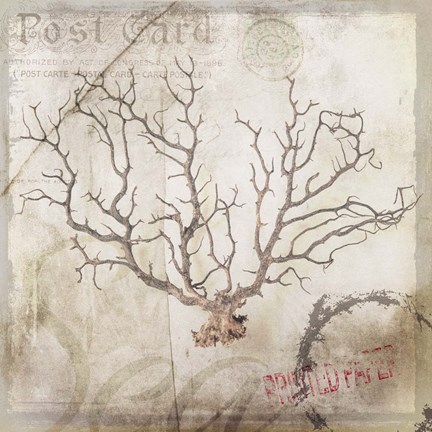 Framed Sea Leaf Print