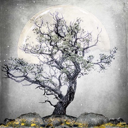 Framed August Tree 5 Print