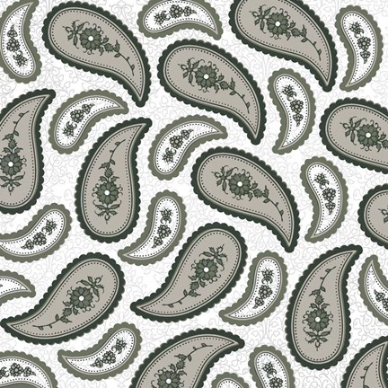 Framed Camo Paisley 4 texture 4 Print