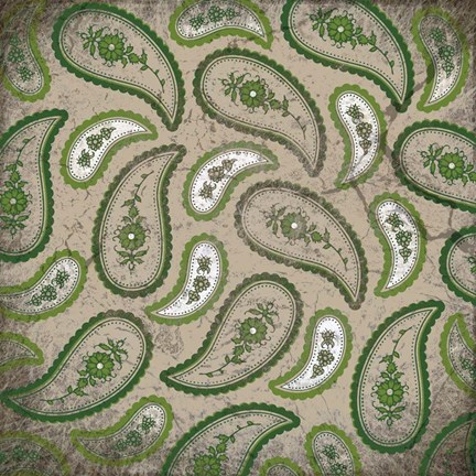 Framed Camo Paisley Grunge Print