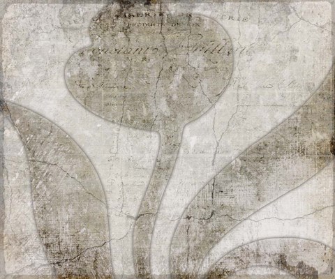 Framed Decorative Pattern 5.1 Print