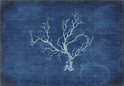 Framed Gypsy Blue Cyanotype V1 Print