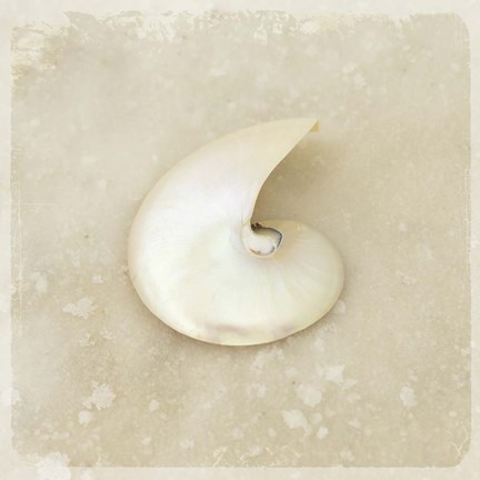 Framed Gypsy Sea Brown 2 Print