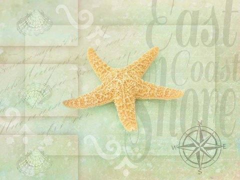 Framed Gypsy Sea Green 4 Print