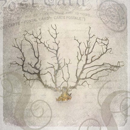 Framed Gypsy Sea Love Letter 2 Print