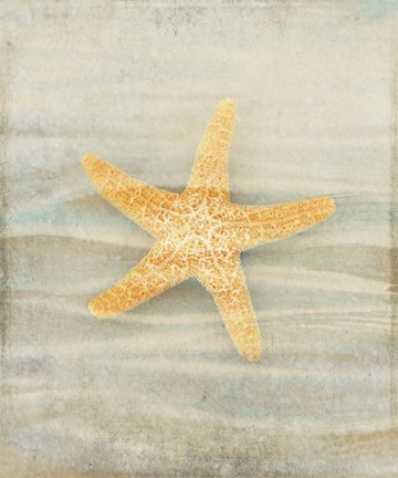 Framed Gypsy Star 1 Print